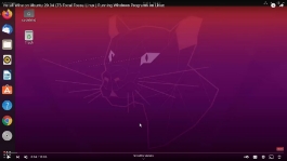 Install Windows programs on Linux using Windows emulators like Wine.